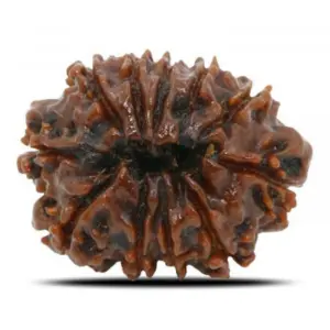 9 mukhi